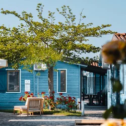 Crystal Chalet Casette blu con giardino, albero e sedie all'aperto in una giornata di sole
