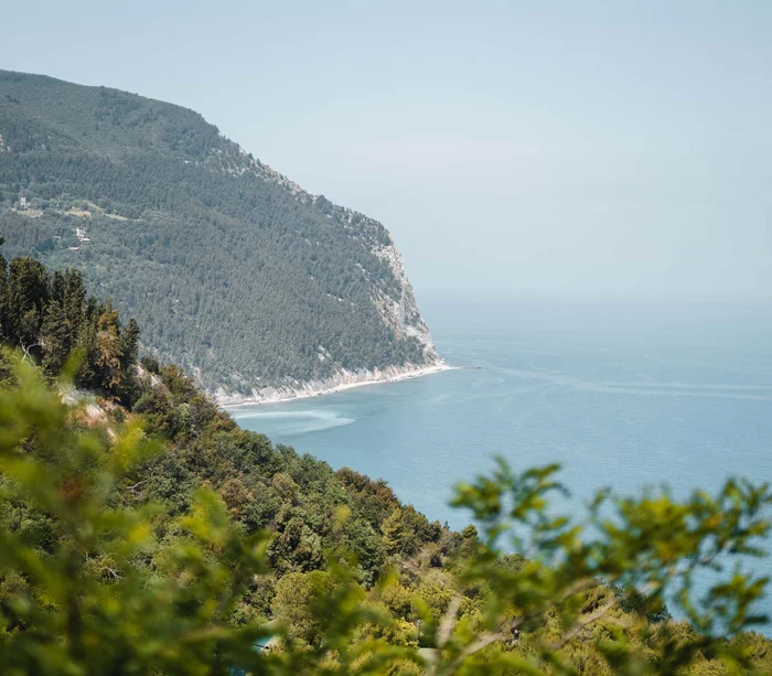 Una vacanza nelle Marche: terra di emozioni Vista della costa rocciosa con mare e vegetazione verde
