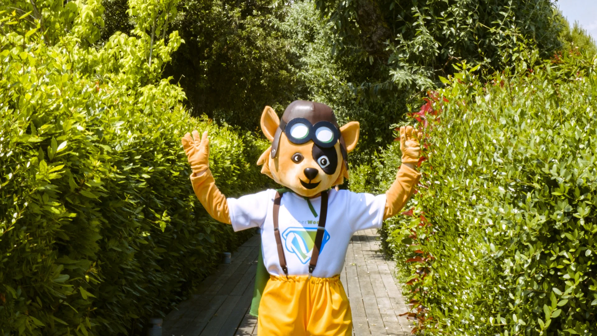 Un family hotel al Conero? Meglio un resort! Mascotte pupazzo cane con occhiali da aviatore su passerella in legno tra siepi