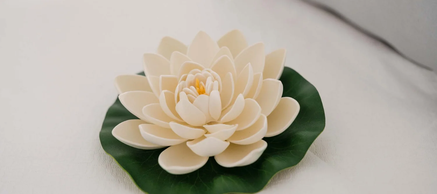 Una spa vicino a Porto Potenza Picena Fiore di loto bianco su foglia verde su superficie bianca