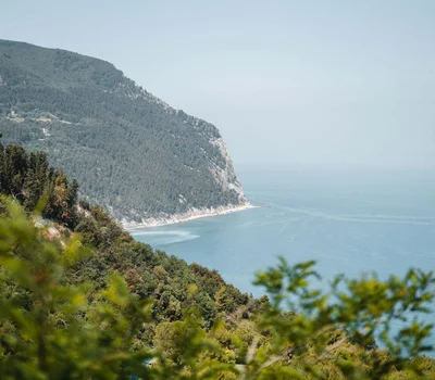 Un villaggio nelle Marche sul mare: il Natural Village Resort Vista della costa rocciosa con mare e vegetazione verde